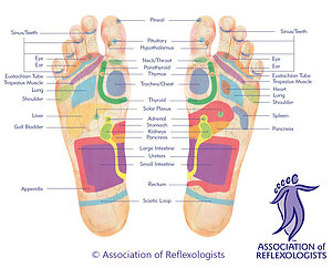 Therapies. AoRfootmap
